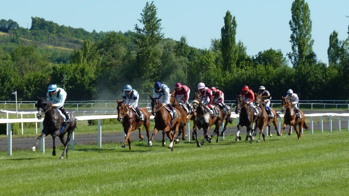 course-hippique
