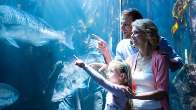 aquarium