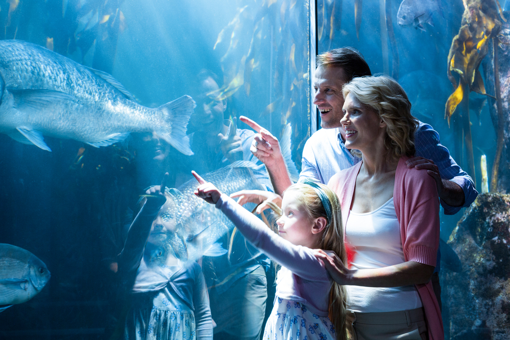 aquarium