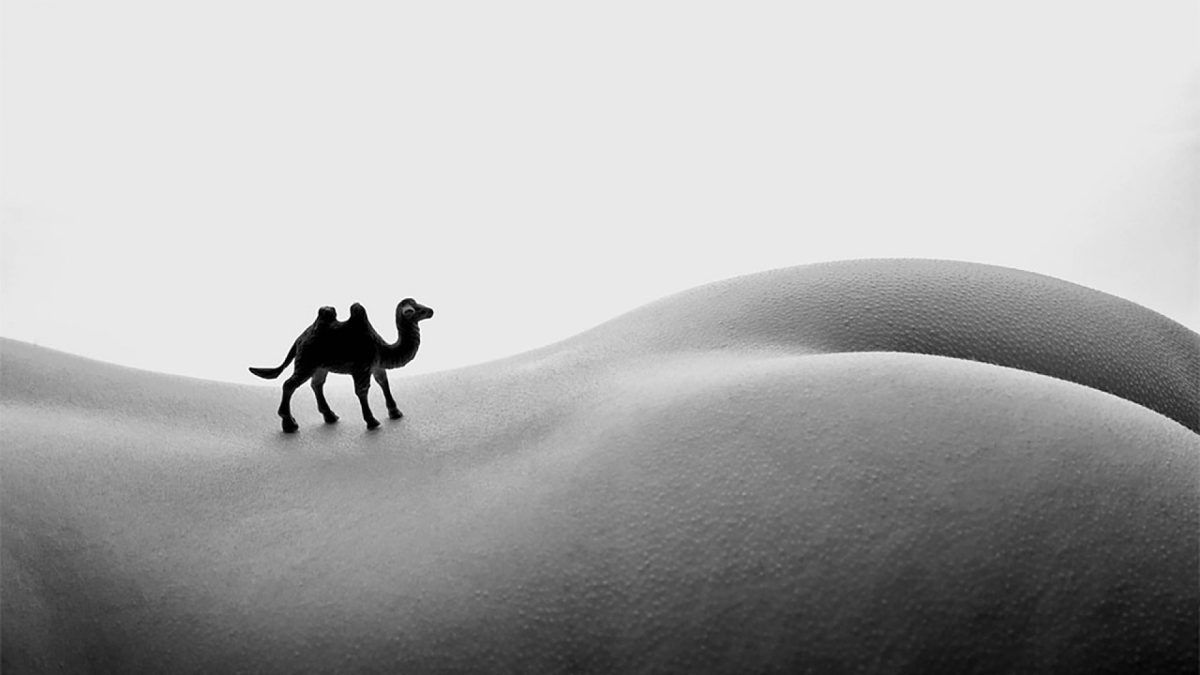 desert-tunisie