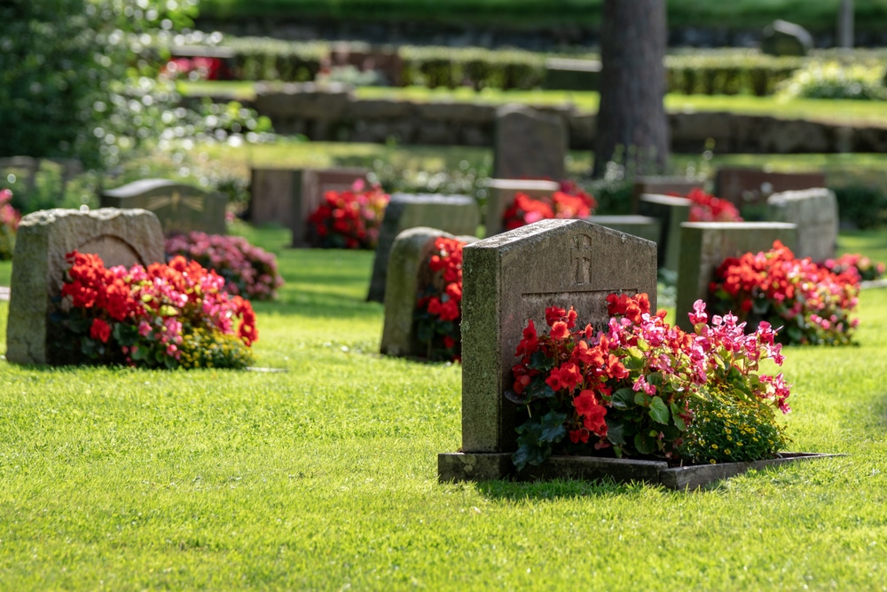 cimetiere tombe fleurs
